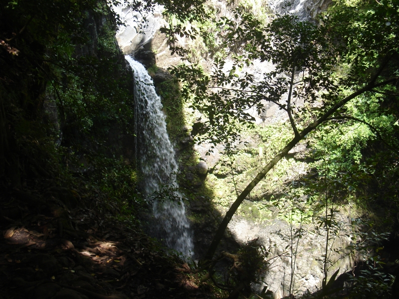 waterfall 1.jpg